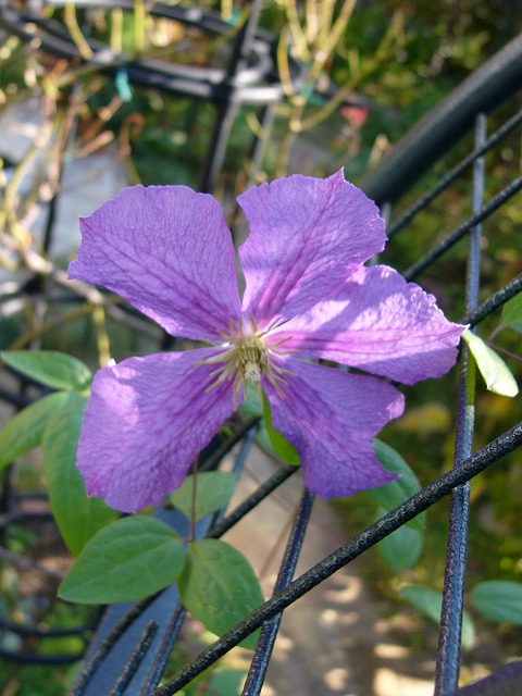 a0123003_10463625.jpg