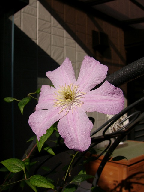 a0123003_10505326.jpg