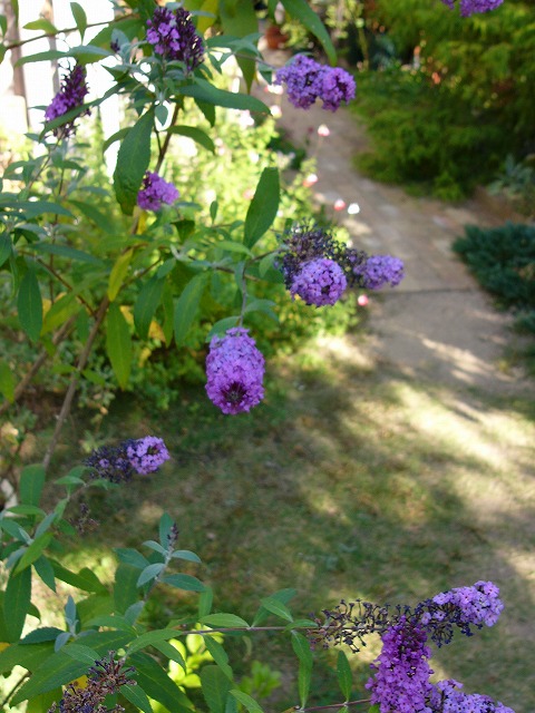 a0123003_11182298.jpg