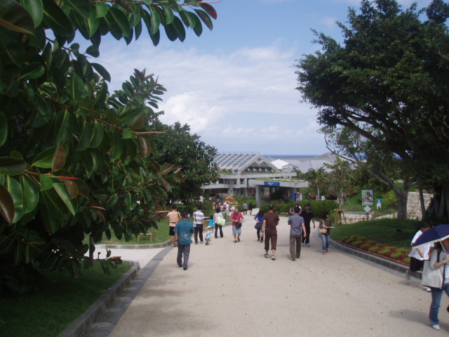 e0075103_1832046.jpg