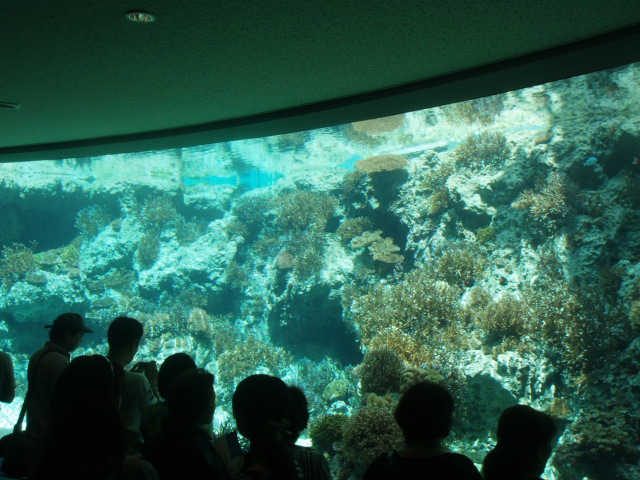 e0075103_18341428.jpg
