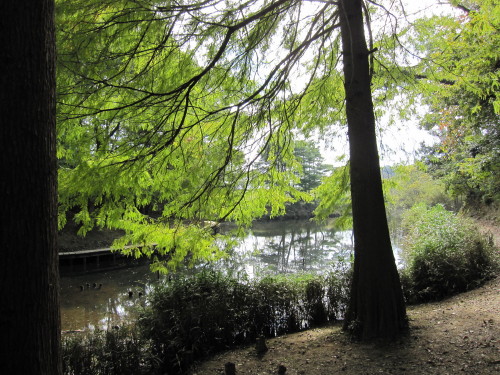 c0145304_03523.jpg
