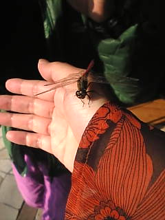 d0052904_17225987.jpg