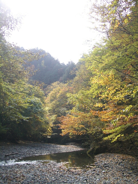 b0172805_1431233.jpg