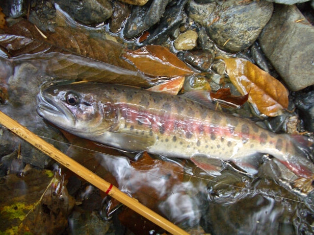 b0172805_1454420.jpg