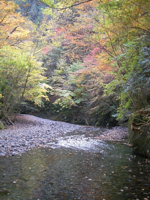 b0172805_1522544.jpg