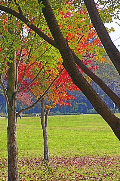 c0156908_0385049.jpg