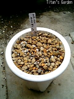 b0099813_0164095.jpg