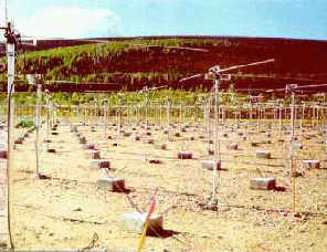 HAARPのリオメーターも巨大地震のVHF電波をキャッチか?_e0171614_10594242.jpg