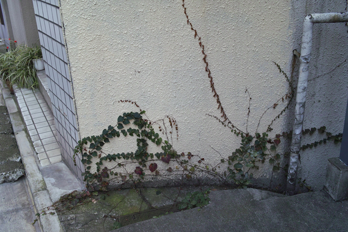 c0213117_2352849.jpg