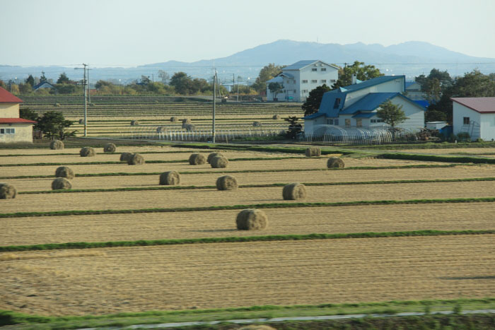 北海道旅行・・・2日目　10/16_d0026817_2348193.jpg