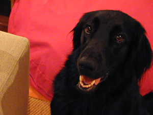 c0012120_1612736.jpg