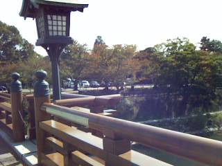 d0012323_1473134.jpg