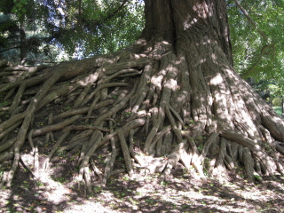 b0147224_2021787.jpg