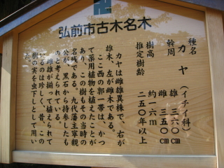b0147224_20435494.jpg