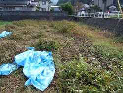 自作自演?_e0061225_8221145.jpg