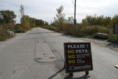 013 Tommy Thompson Park ~ついに潜入!~_c0211532_14441459.jpg