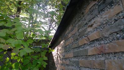 f0042438_1755527.jpg