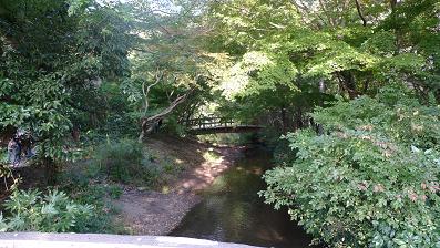 f0042438_1781710.jpg