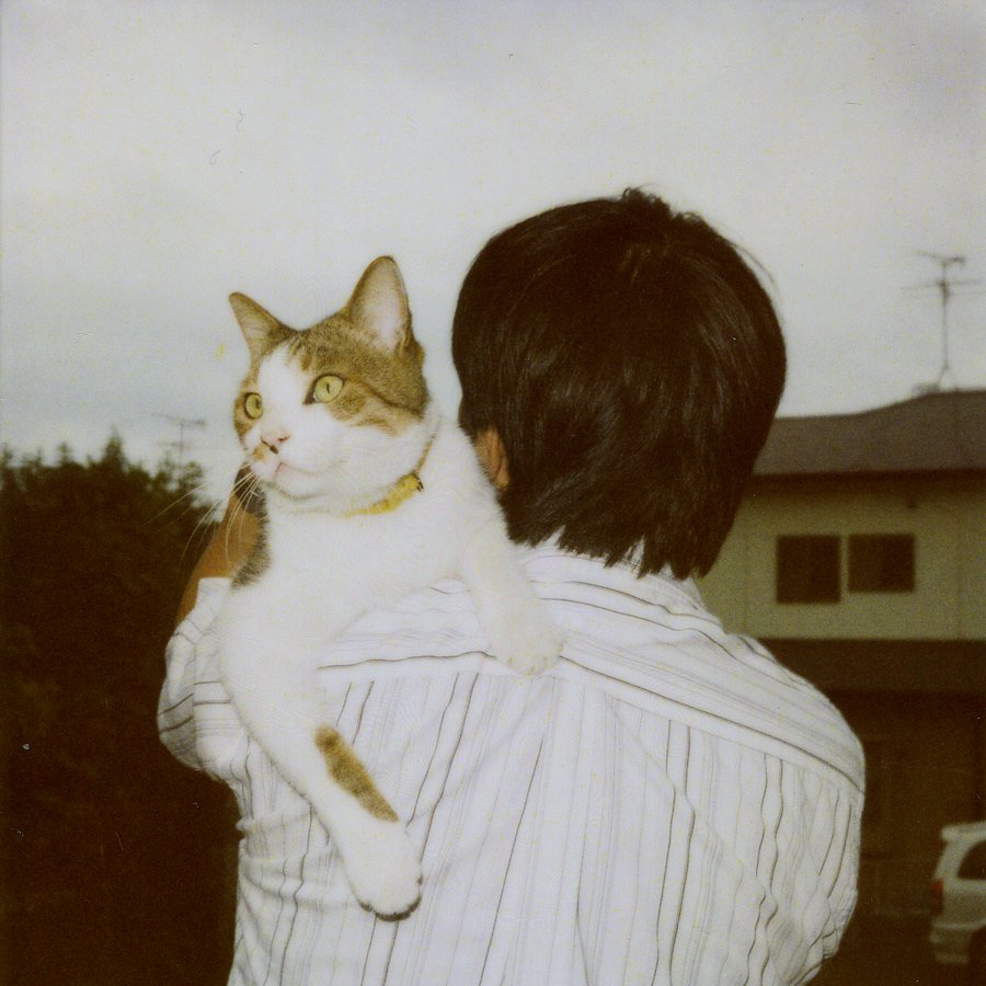 猫からの伝言 #2〜もうひとつの猫の十戒_b0060239_2222457.jpg