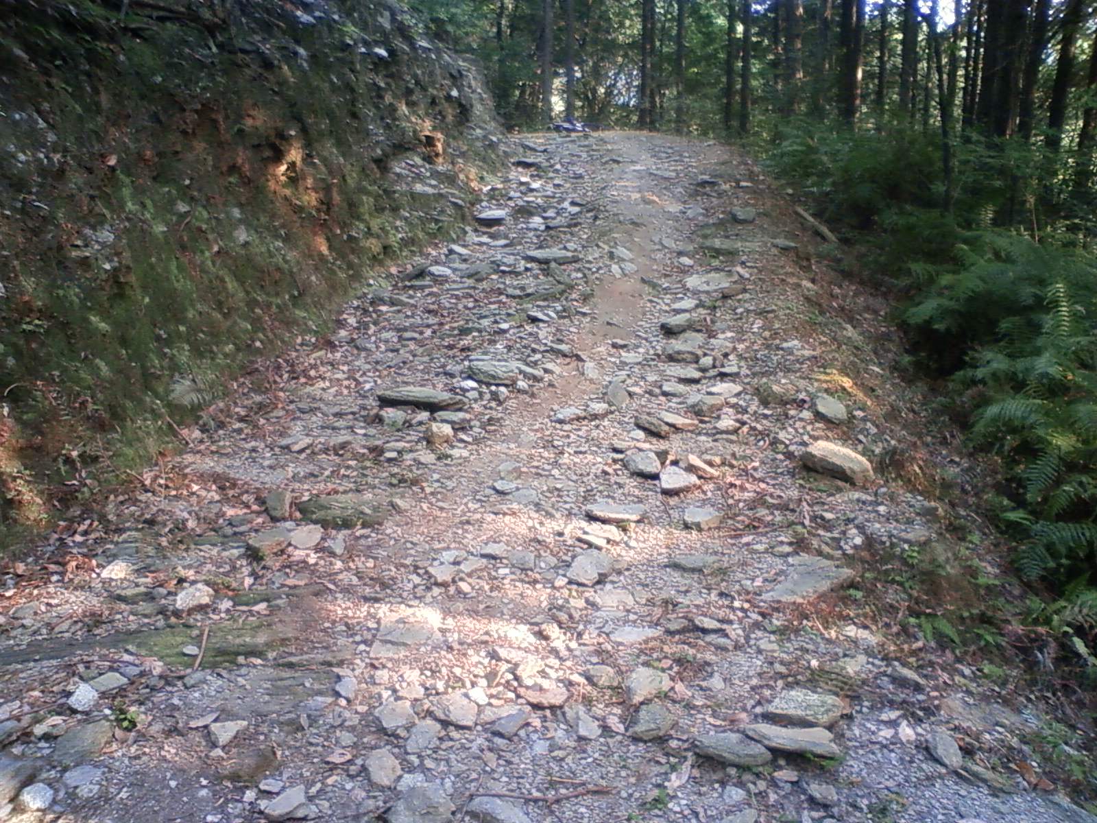 e0138939_22292049.jpg