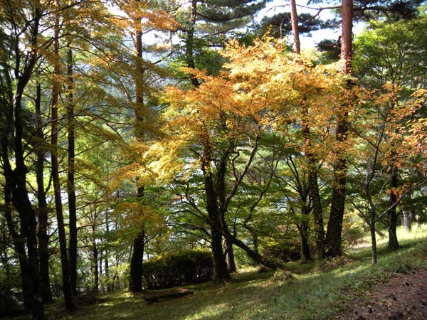 c0047341_94283.jpg