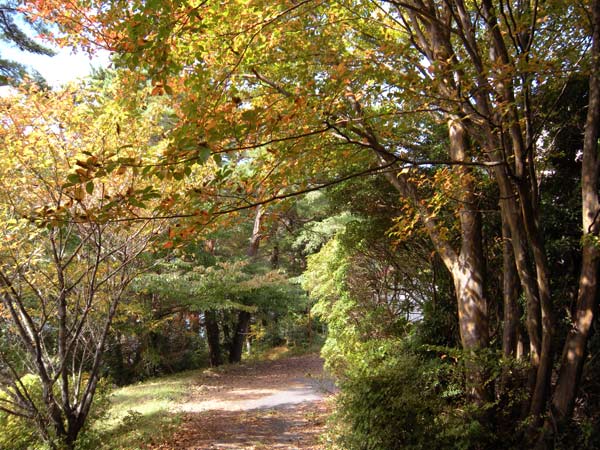 c0047341_94826.jpg