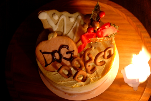 dogdecoのクリスマスケーキ_f0068145_731561.jpg