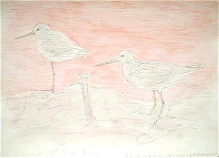 #ネイチャー・スケッチ #Naturesketch #Naturejournal #水彩画『野鳥』   _a0083553_8154773.jpg