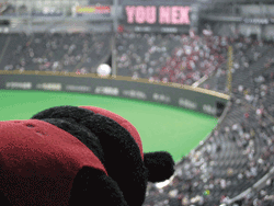 b0159557_2395321.gif