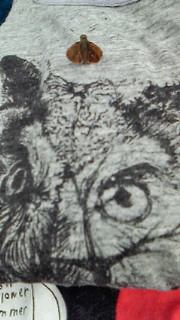 e0035559_23267.jpg