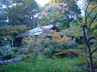 新・根津美術館_d0087761_3324548.jpg