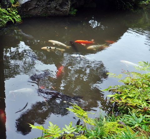 酒田・鶴岡の旅（７）　本間家２代の足跡・・・本間美術館_b0053765_2131596.jpg