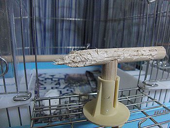 f0196665_06547.jpg