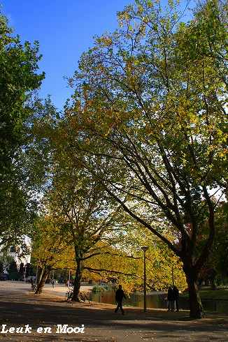 f0177666_21779.jpg