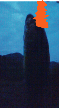 スピード_a0040876_0153289.gif