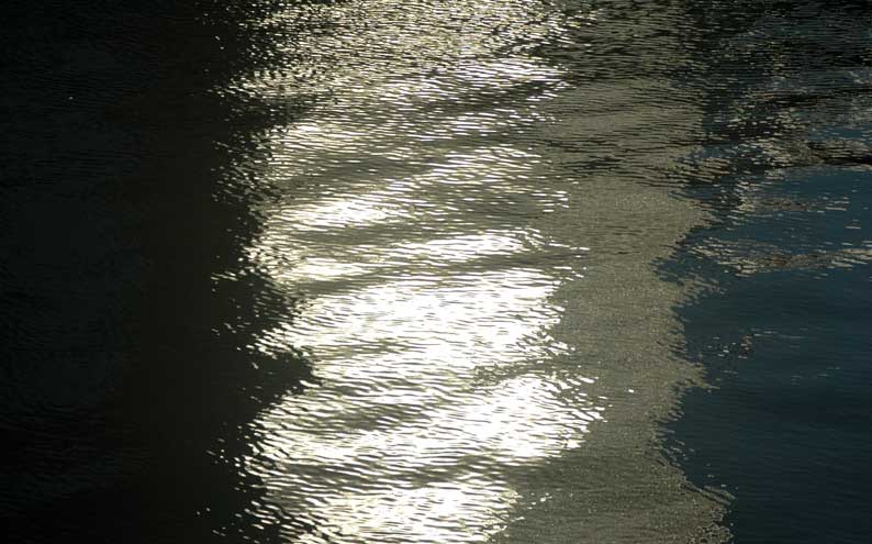 b0057679_845199.jpg