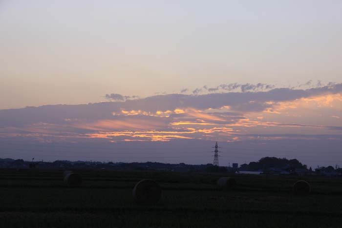 c0177785_1258618.jpg