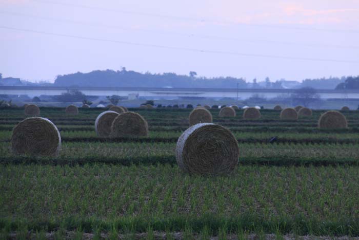 c0177785_13105045.jpg