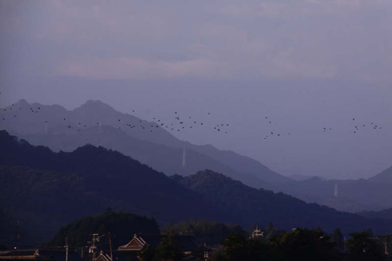 c0177785_1328711.jpg