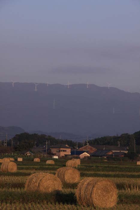 c0177785_13323535.jpg