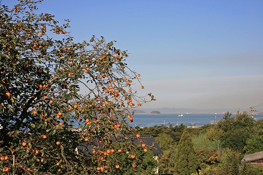 e0190885_19525325.jpg