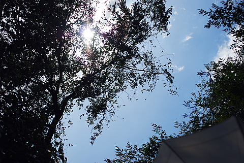 f0080385_22503785.jpg