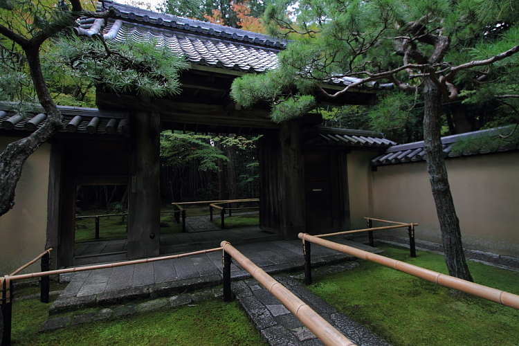 高桐院(大徳寺塔頭)_e0051888_0574025.jpg