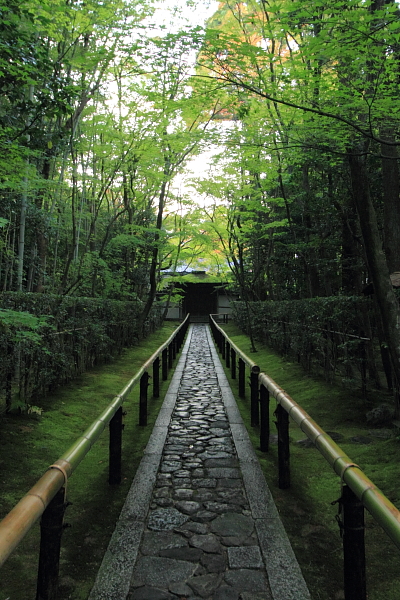 高桐院(大徳寺塔頭)_e0051888_059477.jpg