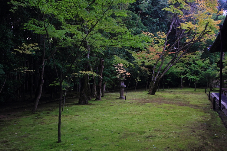 高桐院(大徳寺塔頭)_e0051888_11215.jpg