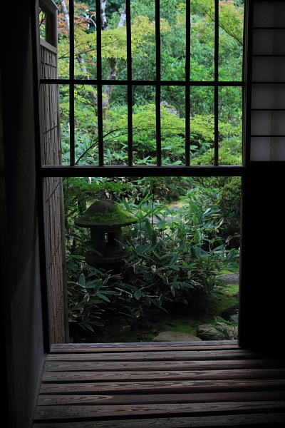 高桐院(大徳寺塔頭)_e0051888_134197.jpg