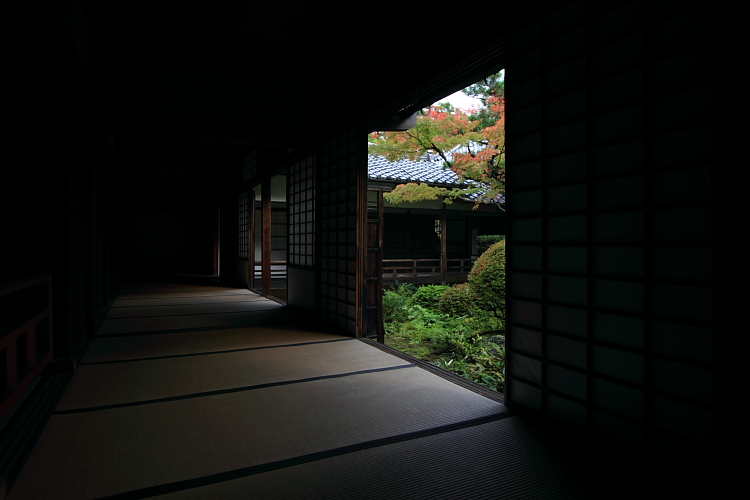 高桐院(大徳寺塔頭)_e0051888_154885.jpg