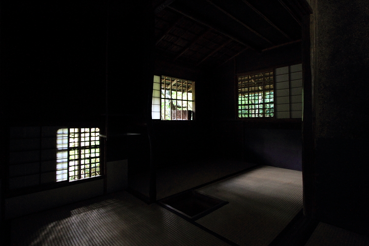 高桐院(大徳寺塔頭)_e0051888_162255.jpg
