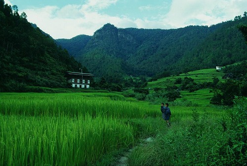 ブータンの農村_c0124100_1658428.jpg